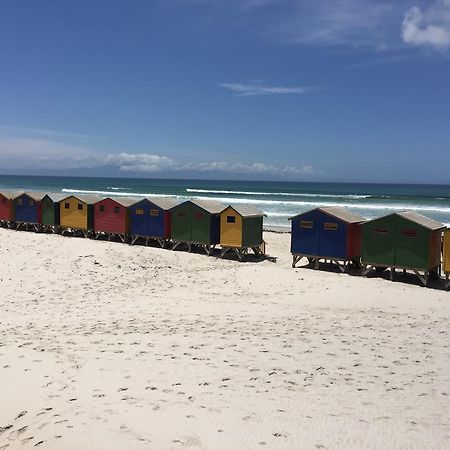 Muizenberg Muse Daire Dış mekan fotoğraf